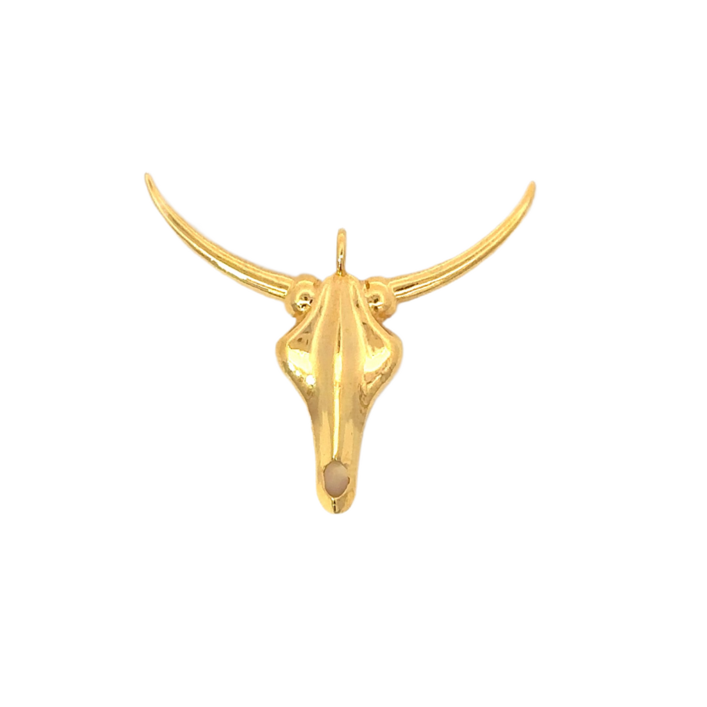 Polished Longhorn Pendant