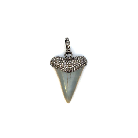 Sterling Silver Shark Tooth Pendant
