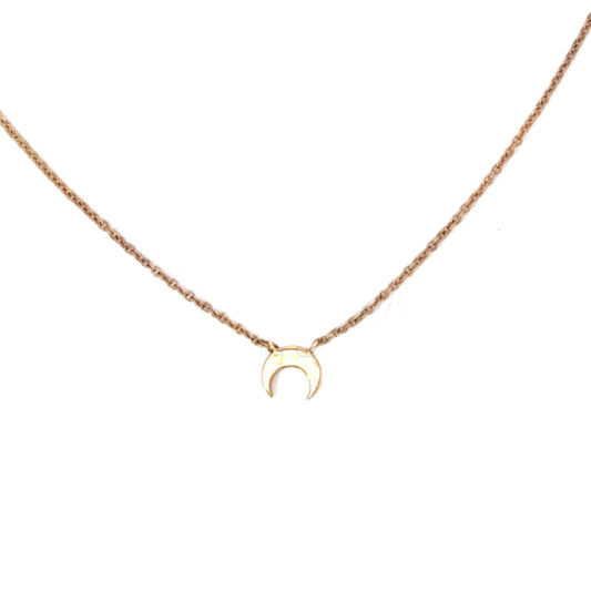 Dainty Upside Down Crescent Necklace