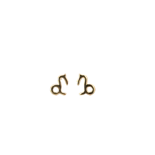 Tiny Zodiac Earring Capricorn