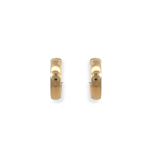 Plain Mini Gold Hoop Earring