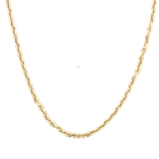 Yellow Gold Oval Rolo Chain